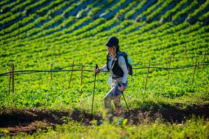 BIB: 
                            <button type="button" onclick="openModal(19160272)" class="btn btn-primary btn-sm float-right btn-popup" data-toggle="modal" data-target=".modal-high-quality">
                        <i class="fas fa-shopping-cart"></i> Add to Cart
                    </button>
                                            <button type="button" onclick="isThisMe(19160272, true)" class="btn btn-success btn-sm float-right btn-popup btn-isme hidden" data-toggle="tooltip" data-placement="bottom" title="นี่คือรูปของคุณใช่ไหม คลิกที่นี่เพื่อเอาเข้าอัลบั้ม">
                        <i class="fas fa-plus"></i> Add to album
                    </button>
                    <button type="button" onclick="isThisMe(19160272, false)" class="btn btn-warning btn-sm float-right btn-popup btn-isnotme hidden">
                        <i class="fas fa-ban"></i> Remove from album
                    </button>